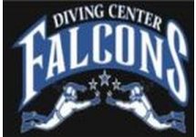 falcon-dalis-merkezi-alanya