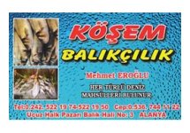 Köşem Balıkçılık Alanya