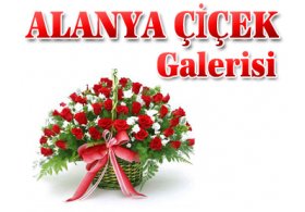 Alanya Çiçek Galerisi Alanya