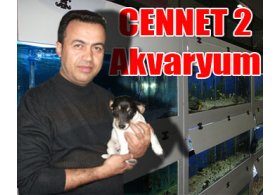 Cennet Akvaryum Pet Shop