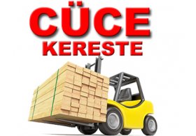 Cüce Kereste Alanya