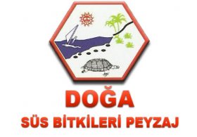 Doğa Süs Bitkileri Üretim Peyzaj Alanya